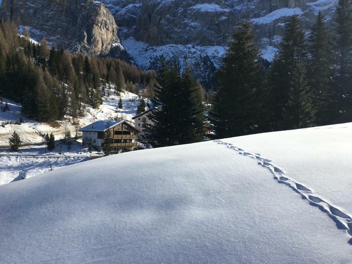 Chalet Albric Apartment Selva di Val Gardena Exterior foto