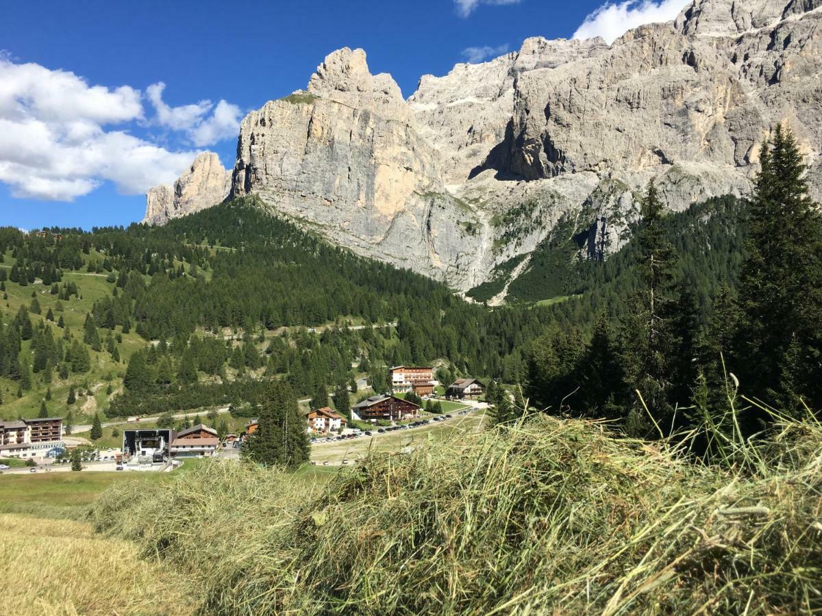 Chalet Albric Apartment Selva di Val Gardena Exterior foto